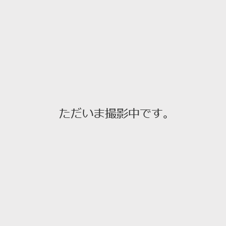 【犬・猫】LIONデンタルトレーニングブラシ